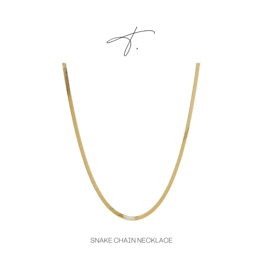 Snake Chain Necklace